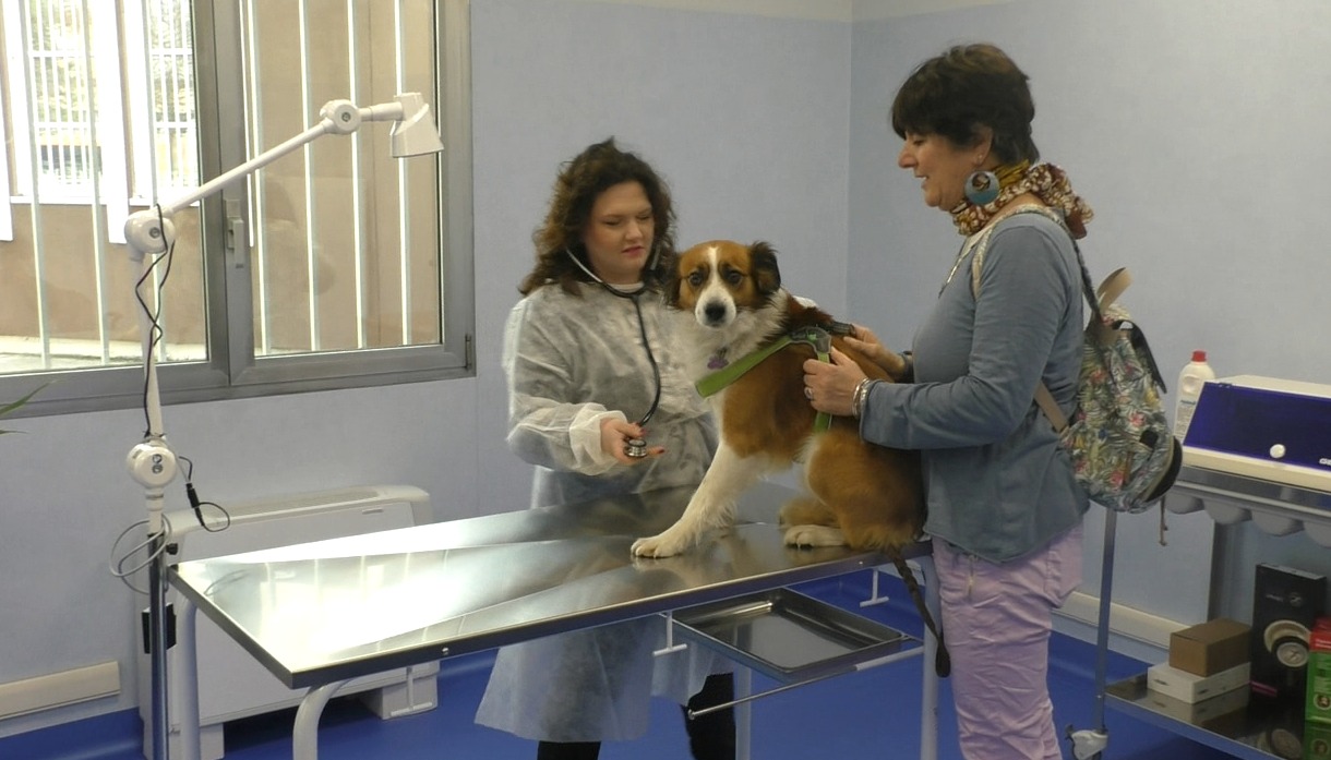 GRP TV News | Veterinario gratis per i fragili, centro inaugurato a Torino