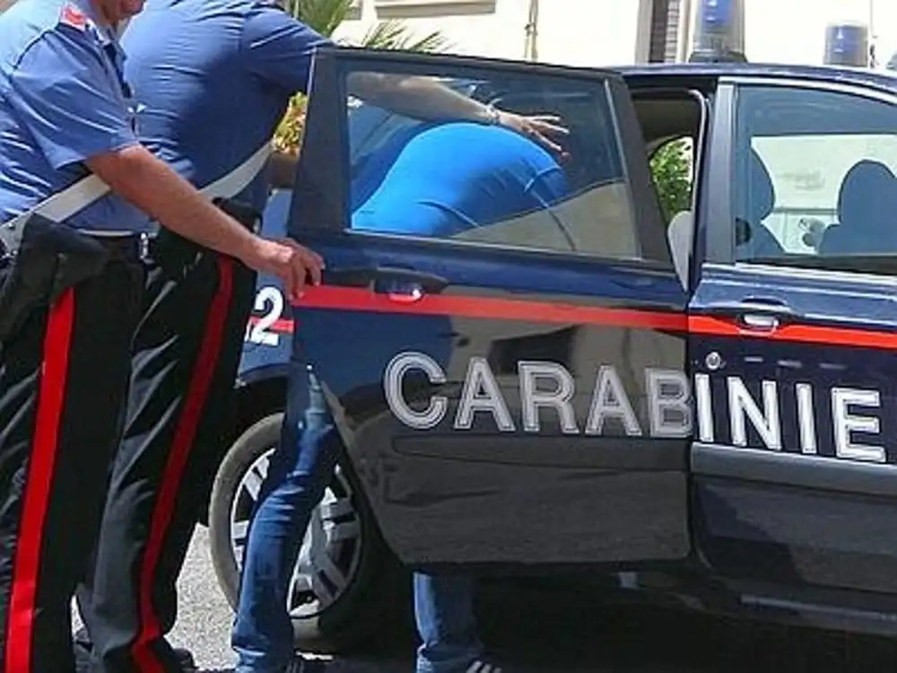 Auto elettriche a noleggio per compiere furti, i carabinieri arrestano un ventitreenne