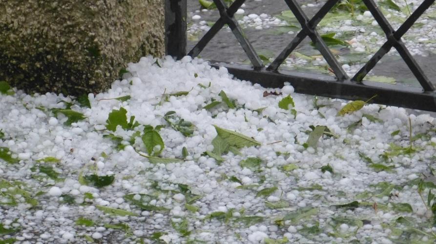Grandine, la Regione Piemonte chiede lo stato di emergenza per le violente precipitazioni dello scorso 6 luglio