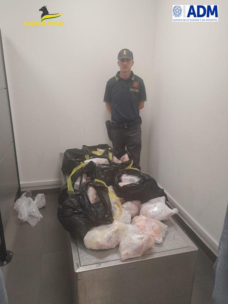 Carne dall'Egitto nascosta nei bagagli, maxi sequestro all'aeroporto di Torino Caselle